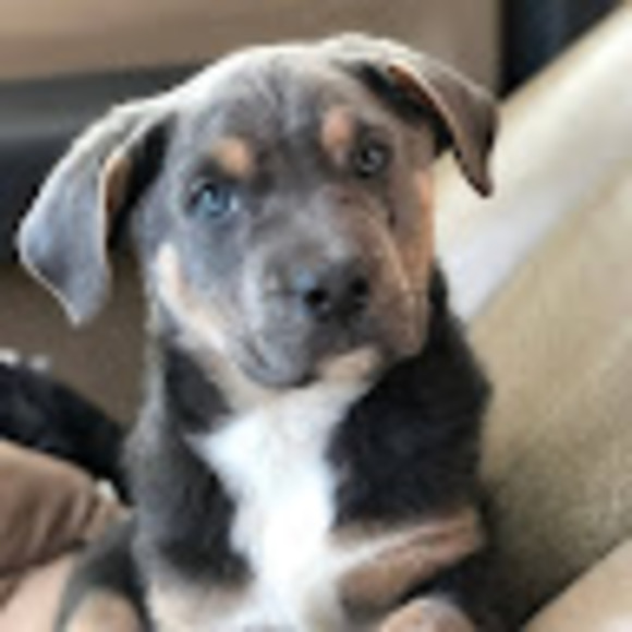 Meet your Posher, Mary - Picture 1 of 1